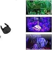 Reptile Terrarium Heat Pad with LCD Digital Aquarium Thermometer — collection imagery