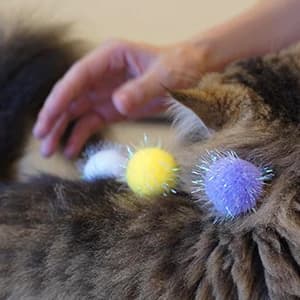 20PCS — 1.5INCH Extra Large Cat's Favorite Chase Glitter Ball Toy — collection imagery