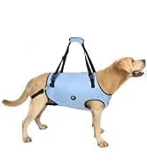 Dog Lift Harness, Pet Support and Rehabilitation Sling Lift Adjustable Padded Breathable Straps for Old — collection imagery