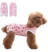 Dog Backpack for Small Dogs to Wear — collection imagery