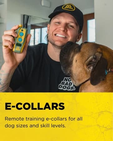 Pathfinder 2 GPS Dog Tracker e Collar 9 Mile Long Range LED Light No Monthly fees Free App Waterproof — collection imagery