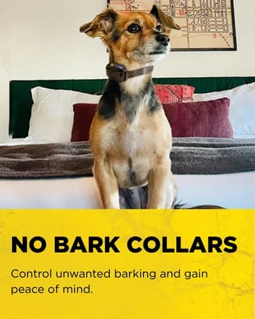 Pathfinder 2 GPS Dog Tracker e Collar 9 Mile Long Range LED Light No Monthly fees Free App Waterproof — collection imagery