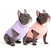 Dog Cooling Vest - Evaporative Summer Cooling — collection imagery