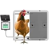 Insulated Chicken Waterer, 3 Gallon | Automatic Poultry Water Dispenser with 5 Cups and Nipples Included | — collection imagery
