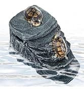 3 in 1 Reptile Hide Cave with Detachable Base and Humidity Dish — collection imagery
