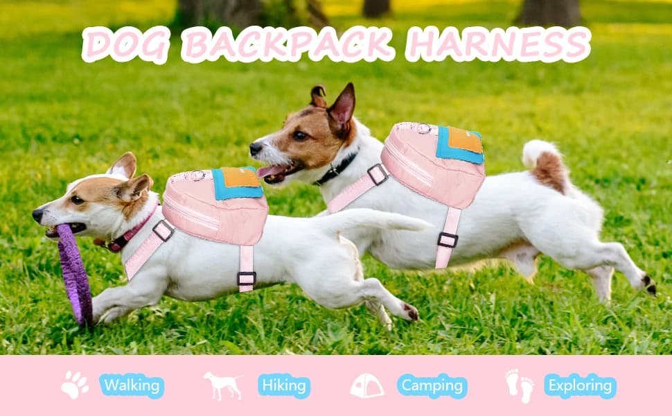 Dog Backpack for Small Dogs to Wear — Cute Dog Backpack Harness