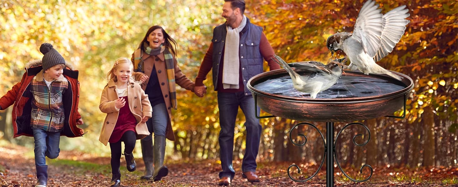 35In Metal Bird Bath for Outside — collection imagery