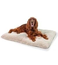 On-The-Go Travel Dog Bed — Portable Roll-Up Mat with Buckle — collection imagery