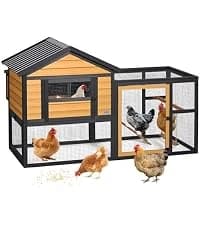4 Holes Chicken Nesting Box — PVC Waterproof Roof — collection imagery