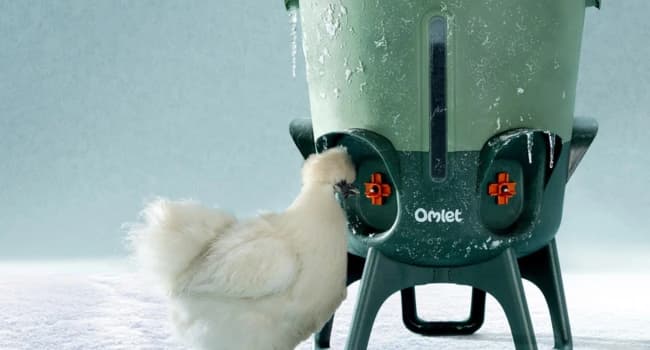 Insulated Chicken Waterer, 3 Gallon | Automatic Poultry Water Dispenser with 5 Cups and Nipples Included | — Insulated