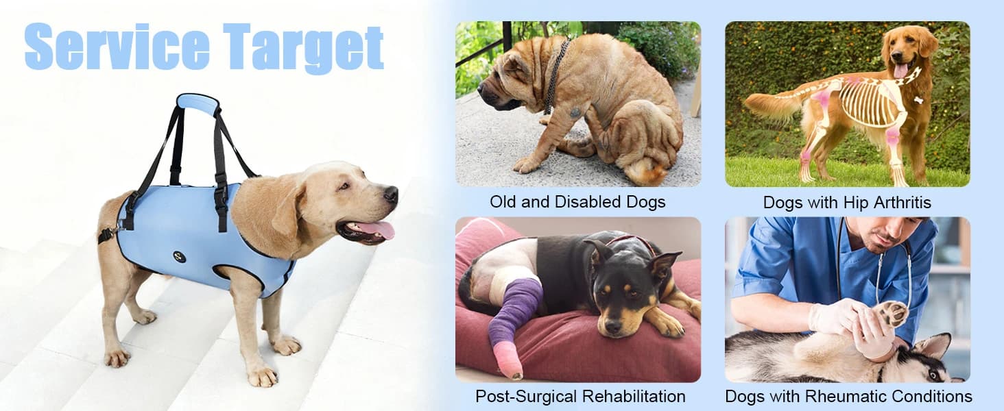 Dog Lift Harness, Pet Support and Rehabilitation Sling Lift Adjustable Padded Breathable Straps for Old — product details