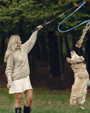 Flirt Pole for Dogs — Interactive Pole for Small — collection imagery