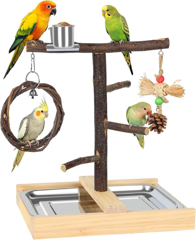 Bird Playground — Natural Wooden Parrot Play Stand