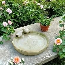 Ceramic Bird Bath for Outside on Ground — 9.45-Inch Birds Bath Bowl Only — Different scene