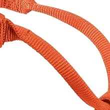 Supply Original Non-Adjustable Nylon Horse Halter – Durable Nylon — Box-stitched stress points for added strength.