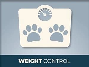 48'' XL Cat Wheel β Safe, Quiet and Stable Exercise Wheel for Large Indoor Cats up to 45 lbs β 15.7'' β product details