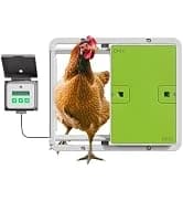 Insulated Chicken Waterer, 3 Gallon | Automatic Poultry Water Dispenser with 5 Cups and Nipples Included | — collection imagery