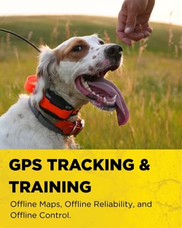 Pathfinder 2 GPS Dog Tracker e Collar 9 Mile Long Range LED Light No Monthly fees Free App Waterproof — collection imagery