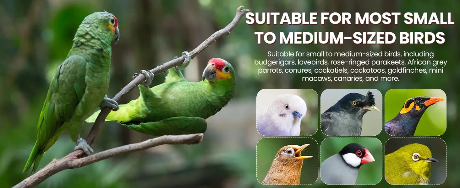 Bird Playground Wooden Parrot Stand for Small and Medium Birds — product details