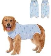 Dog Backpack for Small Dogs to Wear — collection imagery