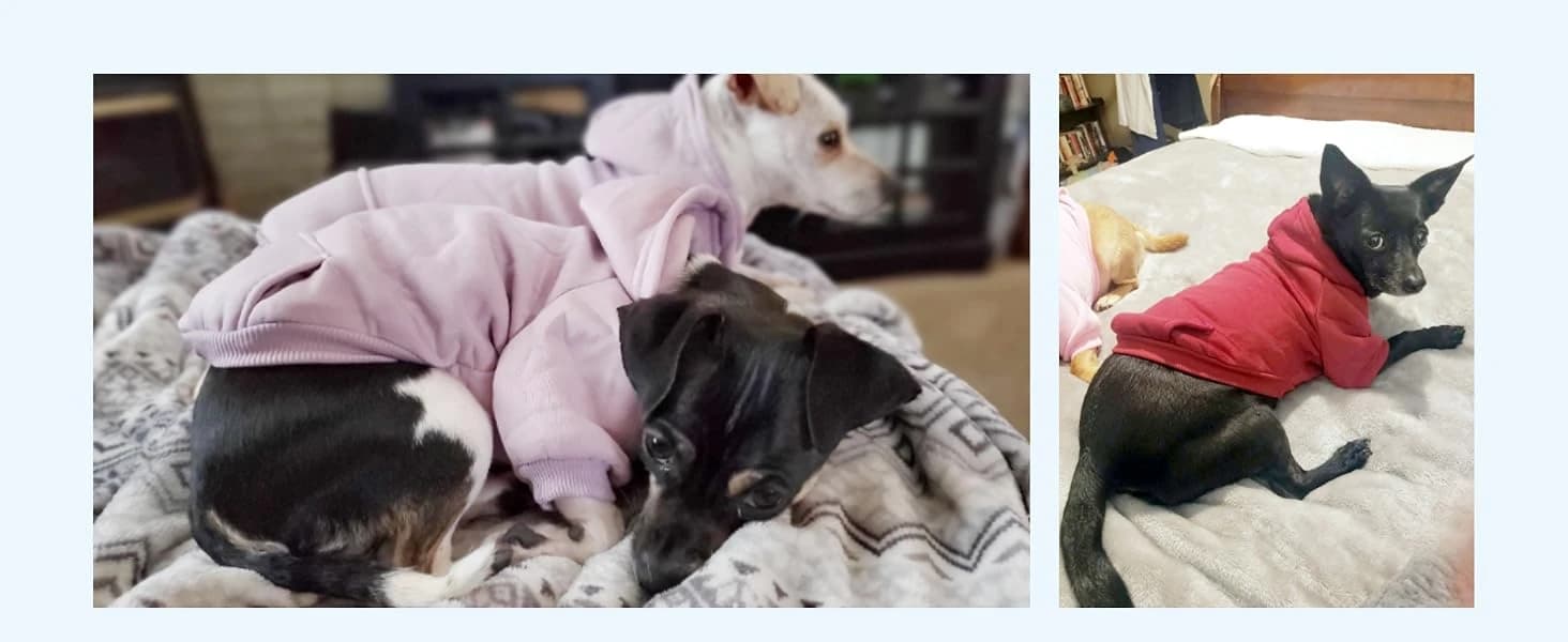 Soft Dog Hoodies for Small Dogs — collection imagery