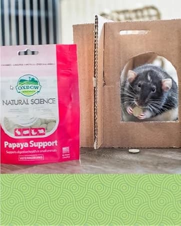 Eco Straw Rabbit Litter Pellets — collection imagery