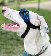 Dog Sunglasses Dog Goggles for Medium and Large Breed Dogs Eye Protection — collection imagery