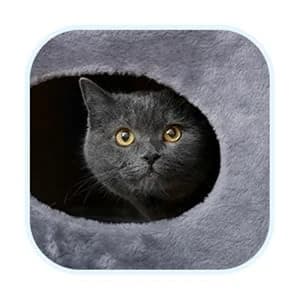 20.5-Inch Cat Condo - 2 Story Cat House with Sisal Scratch Pad — Comfort Pets Love