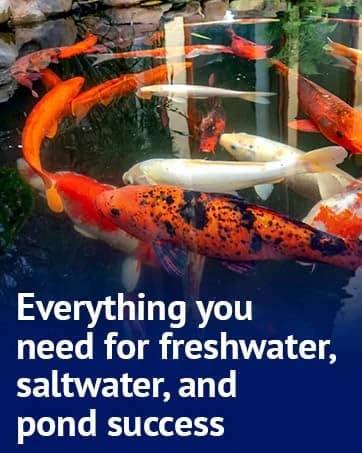 TAP WATER CONDITIONER Aquarium Water Conditioner 16-Ounce Bottle — collection imagery
