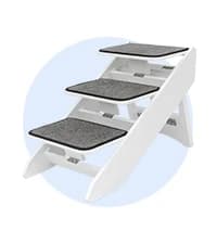 CozyUp Bed Ramp - Supports Pets Back and Joints - High Traction Carpet Surface - Furniture-Grade Wood - Cherry — collection imagery