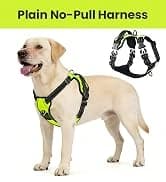 Dog Life Vest Rip Stop Dog Swim Vest — collection imagery