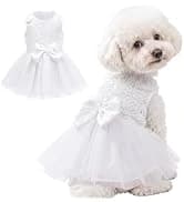 Dog Surgery Recovery Suit — Surgical Suit for Dogs Male Female — collection imagery
