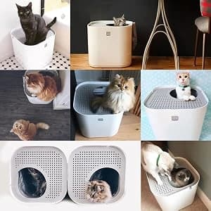 Top-Entry Cat Litter Box — Leak-Proof — product details
