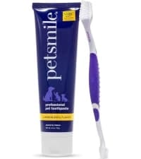 Professional Pet Toothbrush — 45° Cats + Dogs — collection imagery