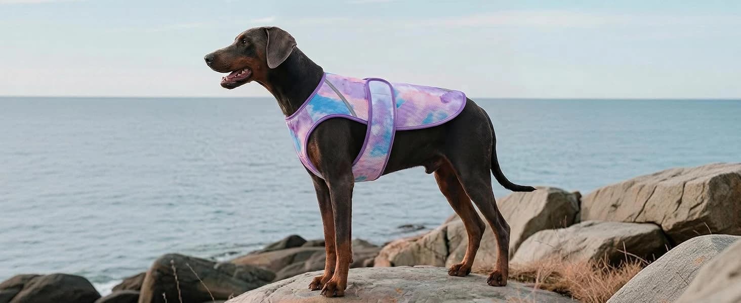 Dog Cooling Vest Evaporative Dog Cooler Jacket for Summer Outdoor — product details