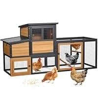 4 Holes Chicken Nesting Box — PVC Waterproof Roof — collection imagery