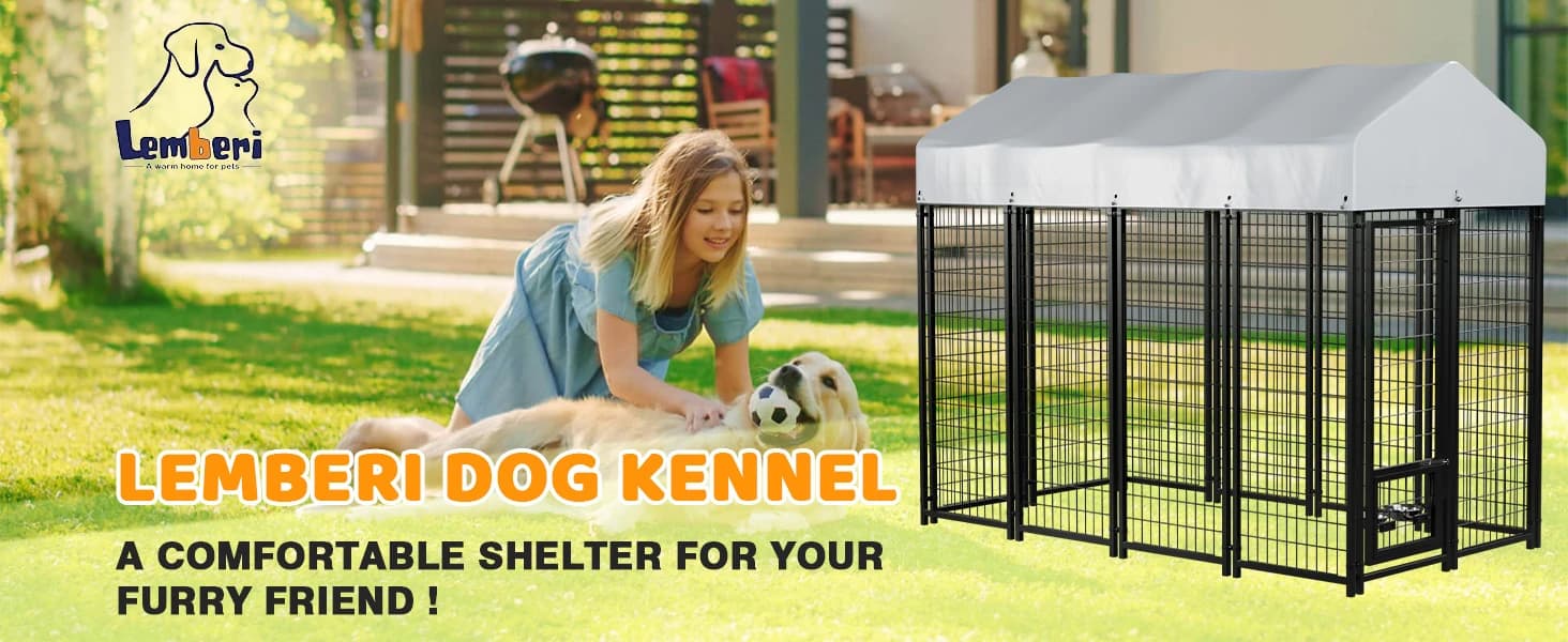 8x4x6FT Outdoor Dog Kennel for Large Dogs — product details