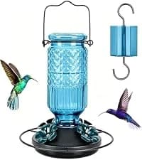 Glass Hummingbird Feeder for Outdoors Hanging — collection imagery