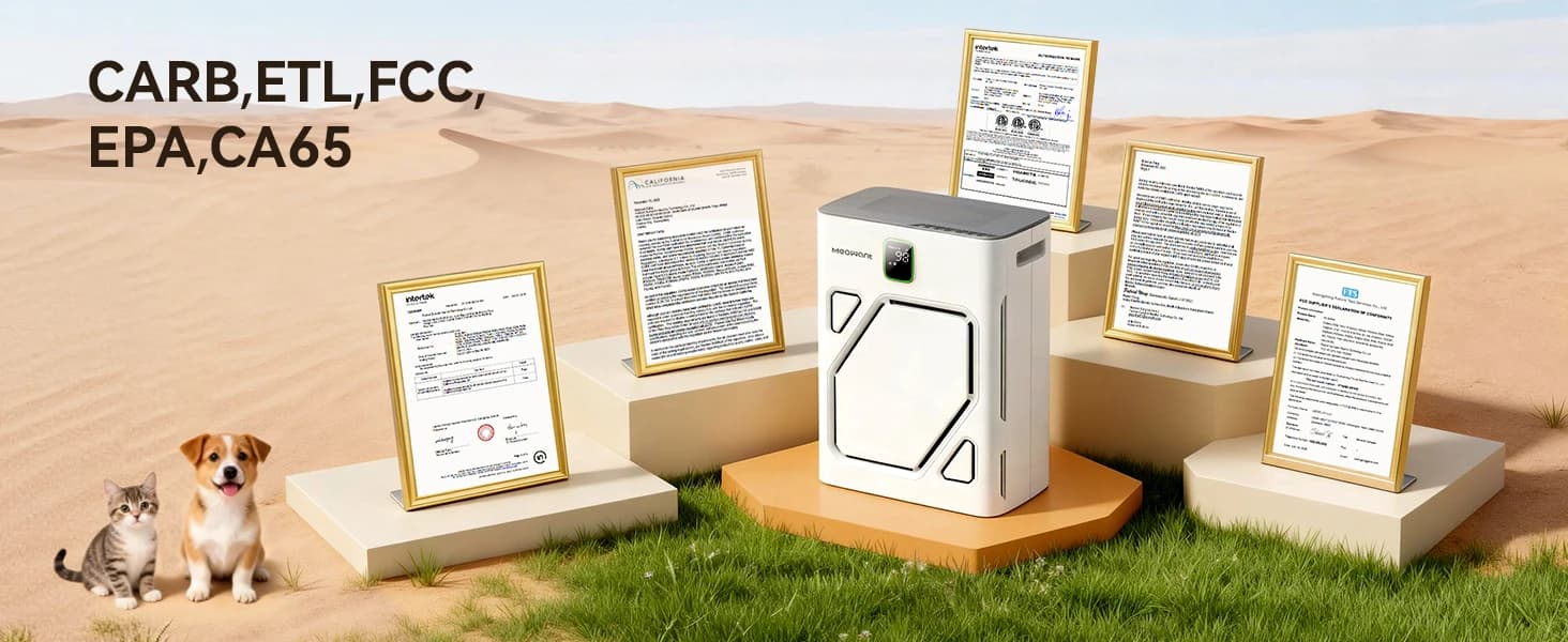 Pet Air Purifier for Home — Dual-sided Intake Air Purifier — A Choice You Can Trust