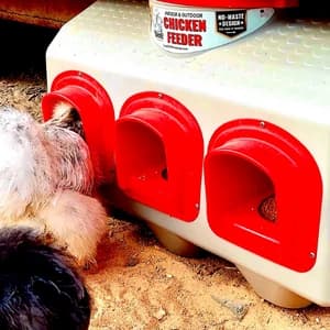 OverEZ Chicken Feeder - Holds — 50 Pounds of Feed - Inside or Outside Hen Coop - Large Gravity Fed Automatic — collection imagery