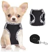Dog Backpack for Small Dogs to Wear — collection imagery
