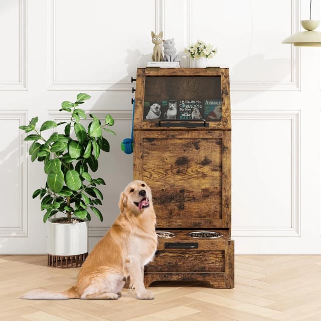 Dog Feeding Station with 2 Elevated Bowls