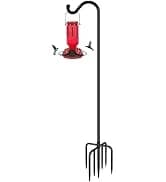 Glass Hummingbird Feeder for Outdoors Hanging — collection imagery
