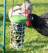 Insulated Chicken Waterer, 3 Gallon | Automatic Poultry Water Dispenser with 5 Cups and Nipples Included | — collection imagery