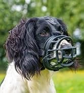 Crash Tested Dog Safety Harness | Size M — collection imagery