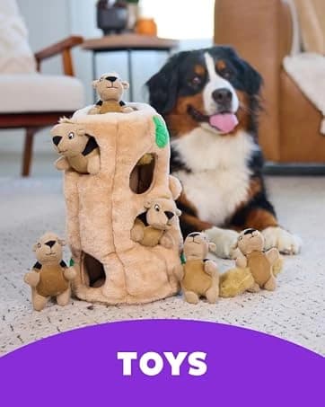 On-The-Go Travel Dog Bed — Portable Roll-Up Mat with Buckle — collection imagery