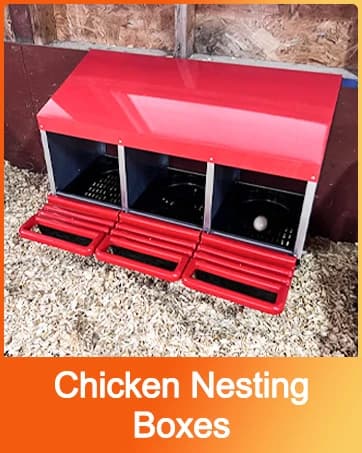 Chick Brooder Heater with Anti-Roost Cone and Constant Temp Red 12" x 12" — collection imagery