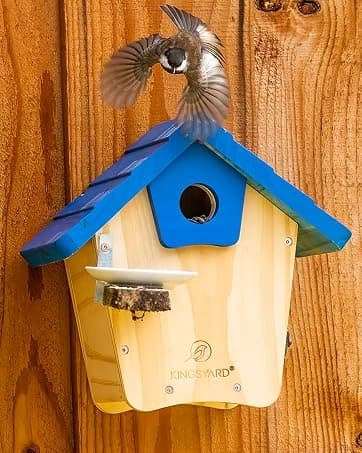 Metal Bird Feeders for Outdoors Hanging — collection imagery