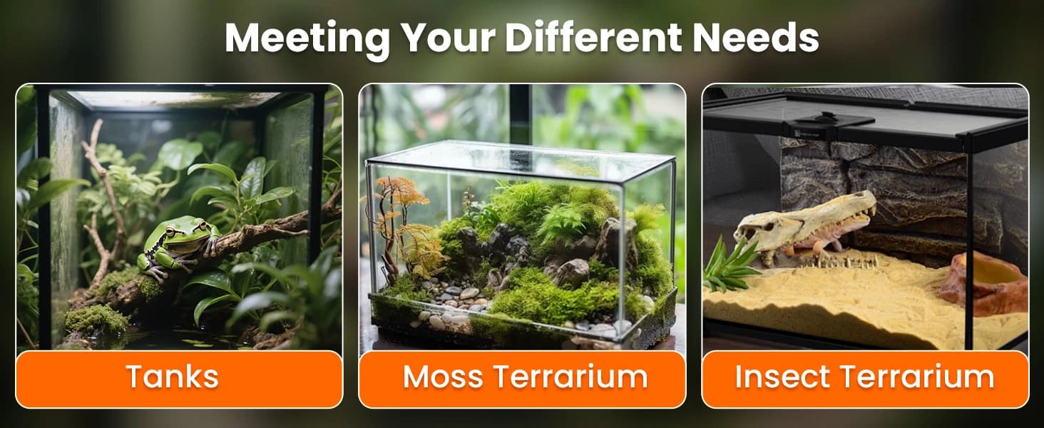 Reptile Terrarium Heat Pad with LCD Digital Aquarium Thermometer — collection imagery