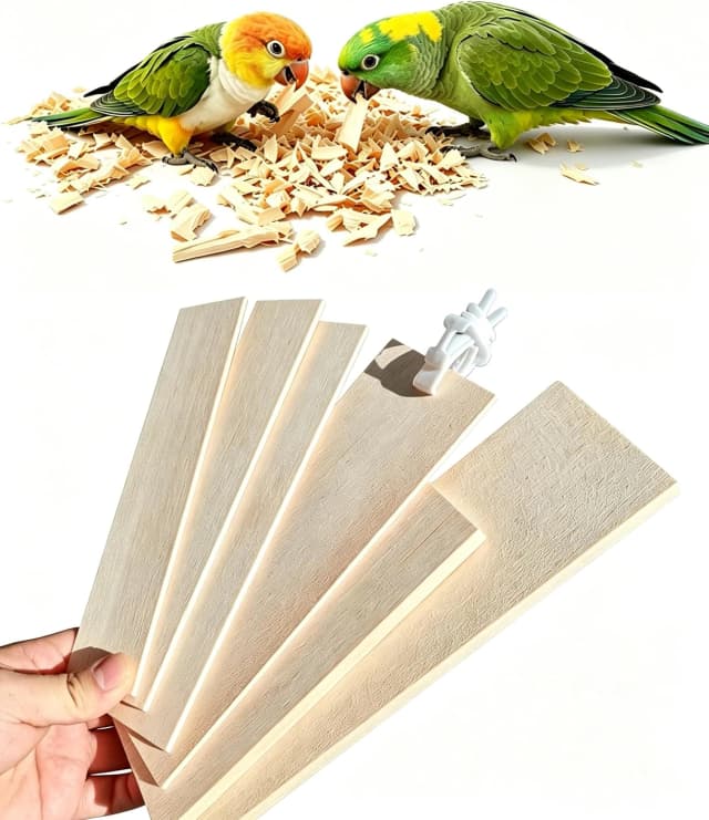 Bird Chew Toys Large Untreated Balsa Wood 10 Pack